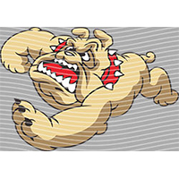 Cartoons and other-CO 1337